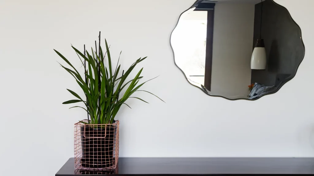 Geometric mirrors for a meaningful accent